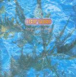 Loop Guru   - Shrinic Visions (Maxi)