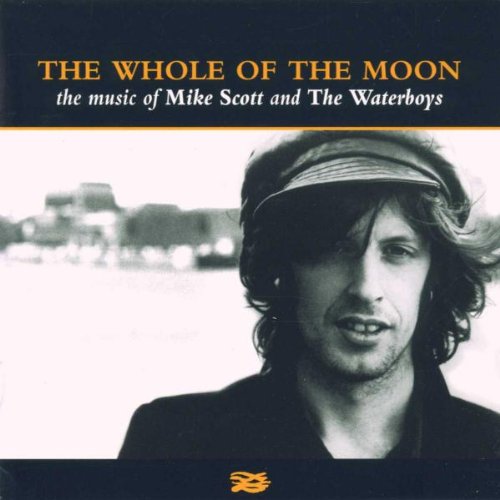 the Waterboys - Whole of the Moon-Best of