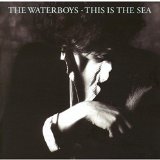 Waterboys , The - A Rock In The Weary Land