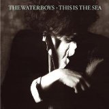 the Waterboys - A Pagan Place