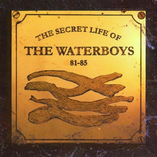 Waterboys , The - Secret Life of the Waterboys