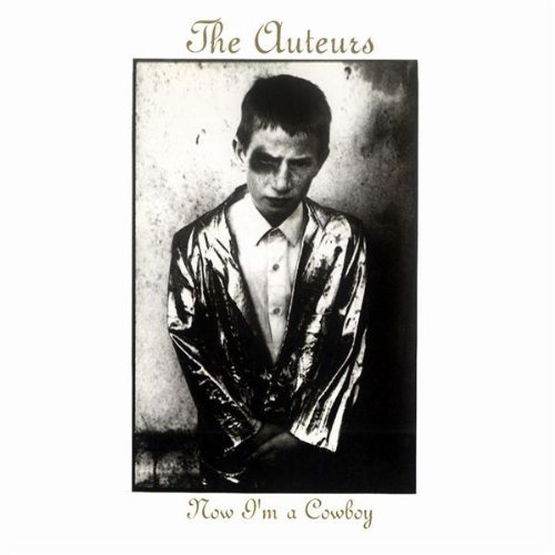 Auteurs , The - Now I'M a Cowboy