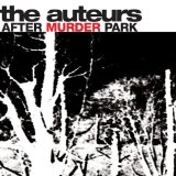 Auteurs , The - Now I'M a Cowboy