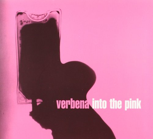 Verbena - Into the Pink