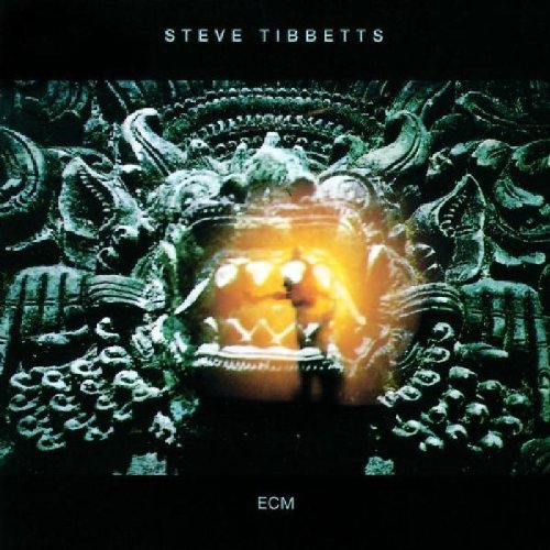 Steve Tibbetts - The Fall of Us All