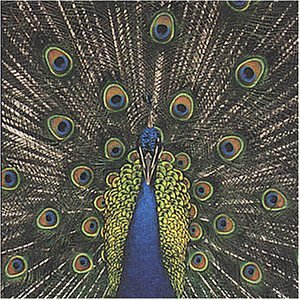 Bluetones , The - Expecting to fly