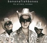 Bananafishbones - Live & Unplugged