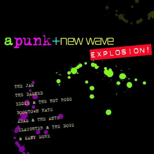 Various - A Punk & New Wave Explosion!