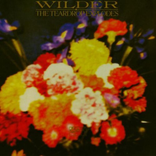 The Teardrop Explodes - Wilder