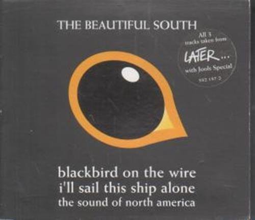 The Beautiful South - Blackbird on the Wire