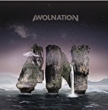 Awolnation - Run [Vinyl LP]