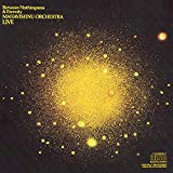 Mahavishnu Orchestra - Lost Trident Sessions