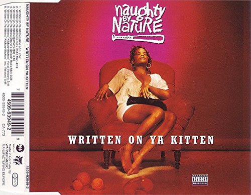 Naughty by Nature - Written on ya kitten (Maxi)