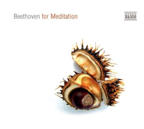 Various - Beethoven for Meditation