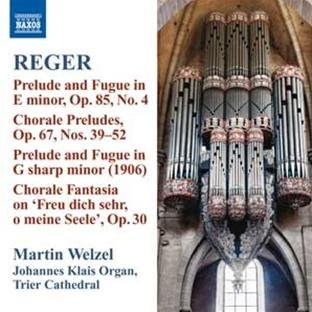 Martin Welzel - Orgelwerke Vol.10