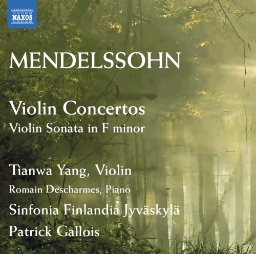 - Violinkonzerte / Violinsonate