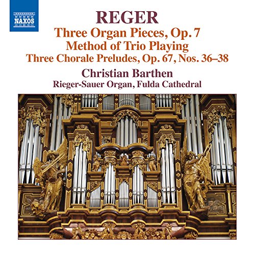 Wolfgang Rübsam - Reger: Orgelwerke Vol. 16