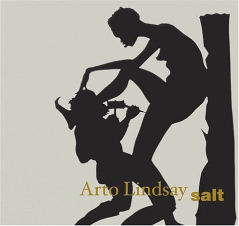 Arto Lindsay - Salt