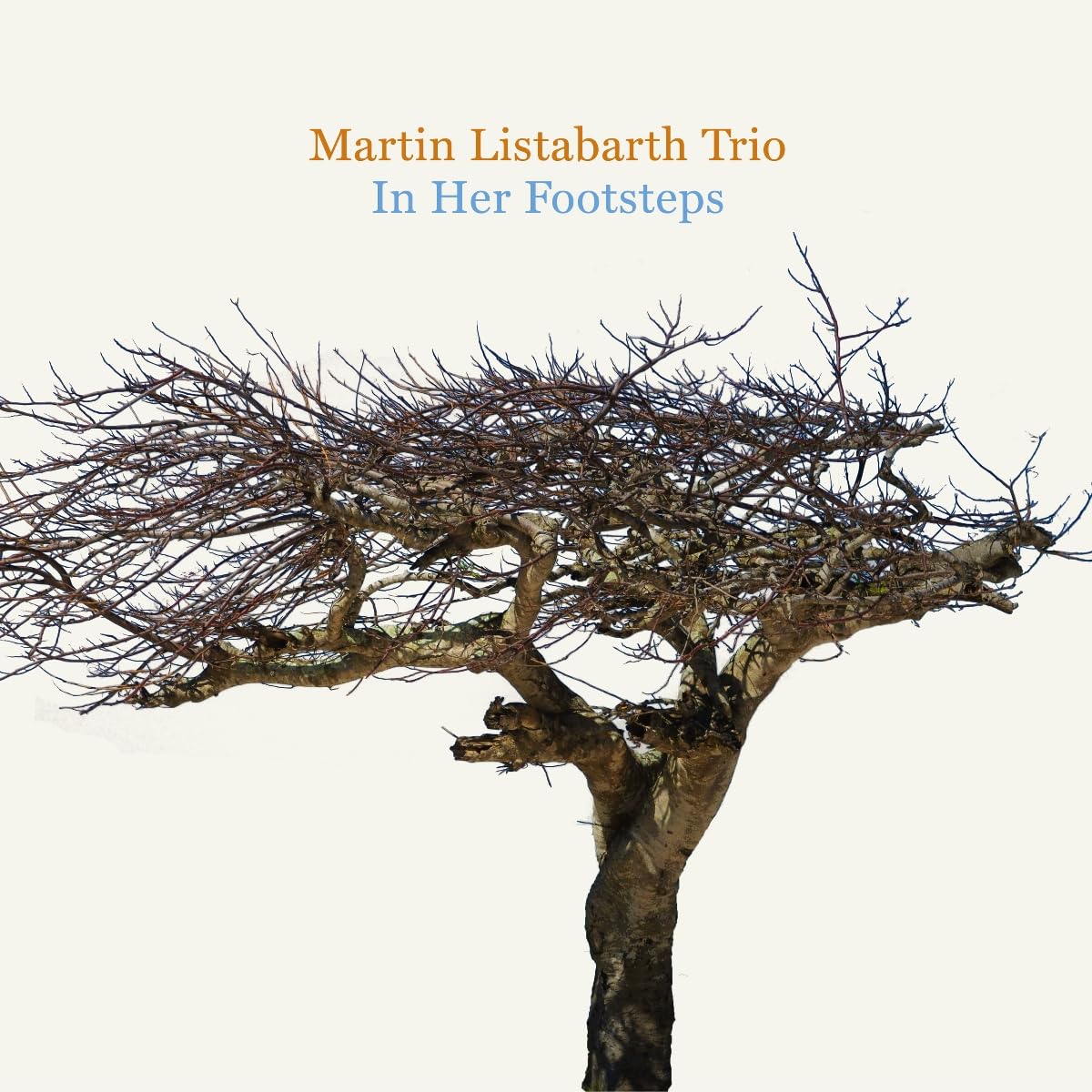 Martin Listabarth Trio - In Her Footsteps