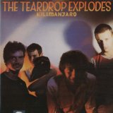 The Teardrop Explodes - Wilder