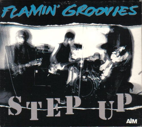 Flamin' Groovies - Step Up