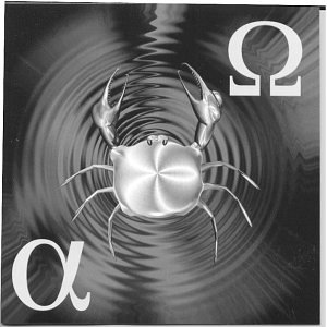 Project Pitchfork - Alpha Omega