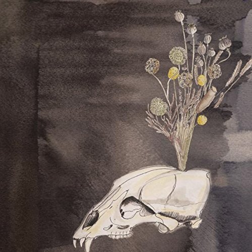 Steve Gunn & The Black Twig Pickers - Seasonal Hire