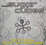 Sugarcubes - Stick Around for Joy
