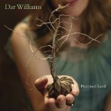 Williams , Dar - The Green World
