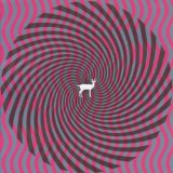 Deerhunter - Microcastle [Vinyl LP]