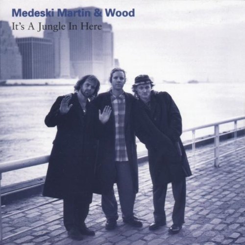 Medeski Martin & Wood - It's a jungle in here