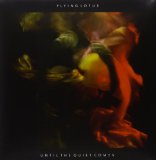 Fleischmann , B. - I'm Not Ready For The Grave Yet