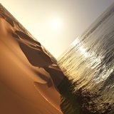 Andy Stott - Too Many Voices [Vinyl LP]