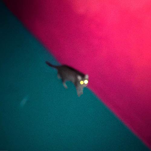 !!! (Chk Chk Chk) - Wallop (Limited First Edition) (Vinyl)
