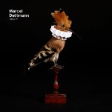 Coles , Maya Jane - Fabric 75