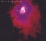 Porcupine Tree - Sky Moves Sideways