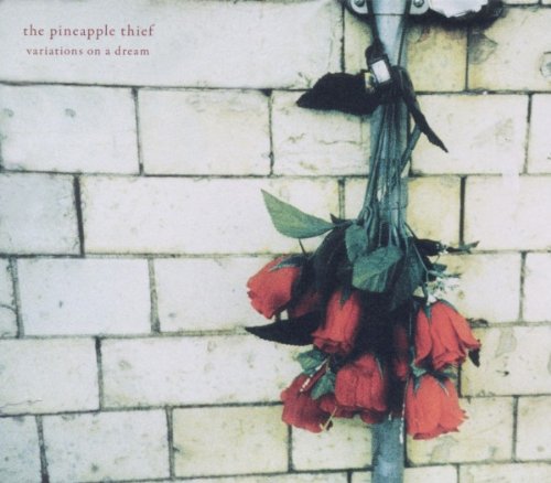 the Pineapple Thief - Variations on a Dream