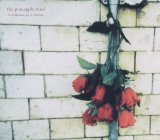 Pineapple Thief - What We Have Sown