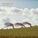 the Pineapple Thief - Magnolia