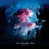Pineapple Thief - What We Have Sown