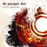 Pineapple Thief - What We Have Sown