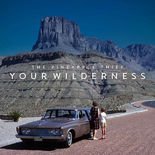 Pineapple Thief , The - Your Wilderness