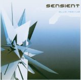 Sensient - Space Between