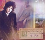 the Waterboys - Fisherman'S Blues