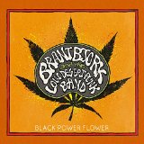 Orange Goblin - Back from the Abyss (Ltd.Edition Digipack)
