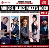 Sampler - Where Blues Crosses Over 2010