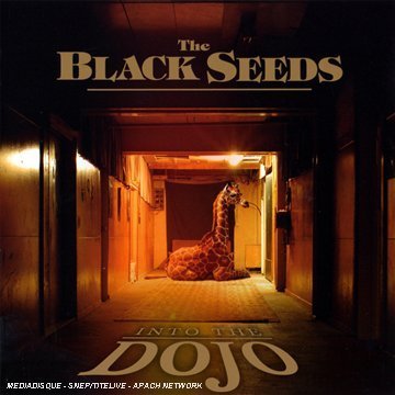 Black Seeds , The - Into the dojo