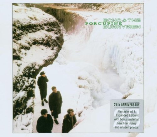 Echo & the Bunnymen - Porcupine