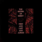 the Sisters of Mercy - Floodland [Vinyl LP]