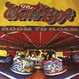 the Waterboys - Dream Harder